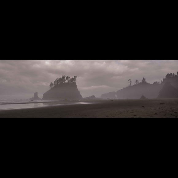 Meet your Posher, Liz - Picture 1 of 1